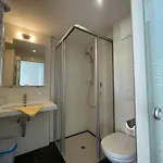Hubertushof Apartment Gerlos